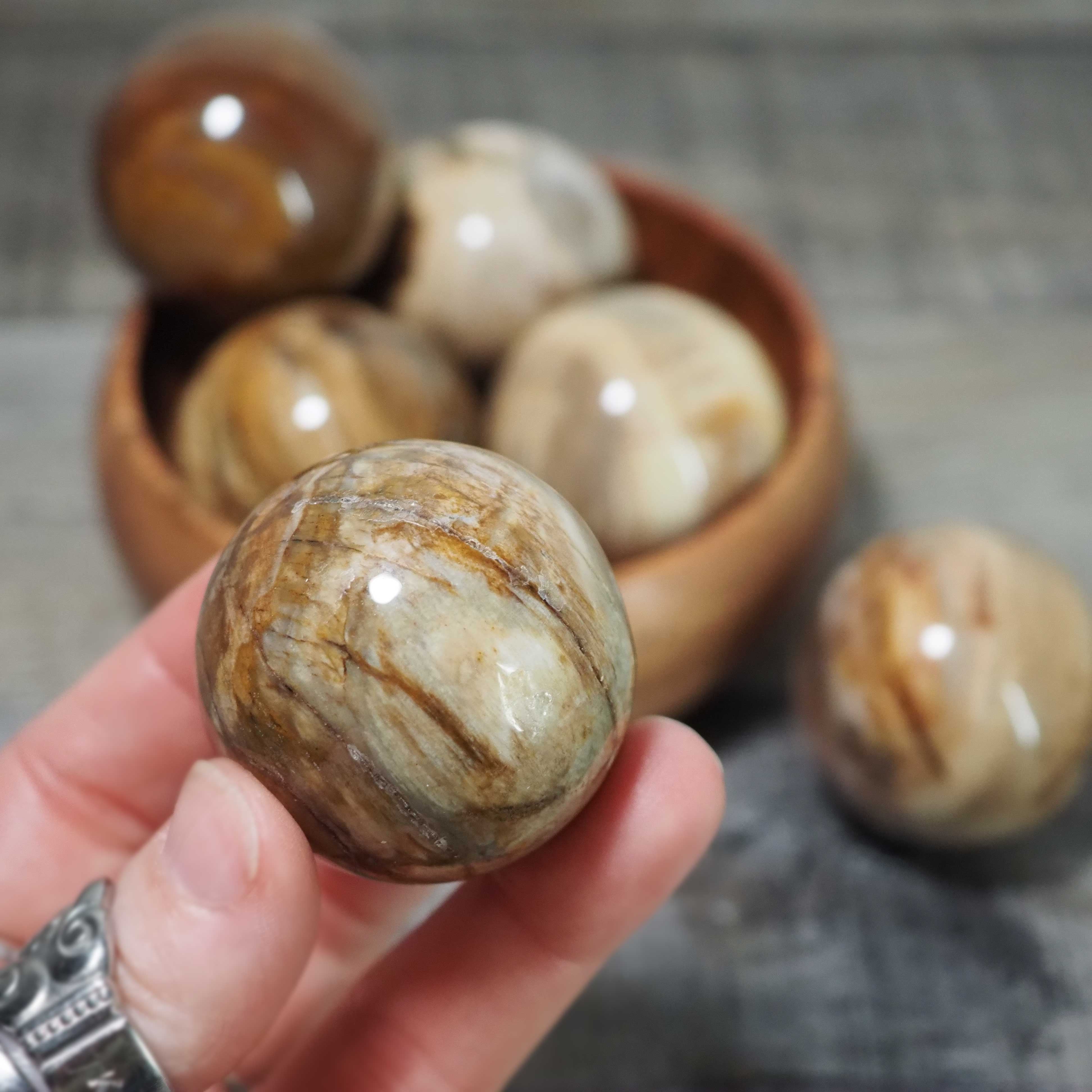 Petrified Wood Spheres from Brazil