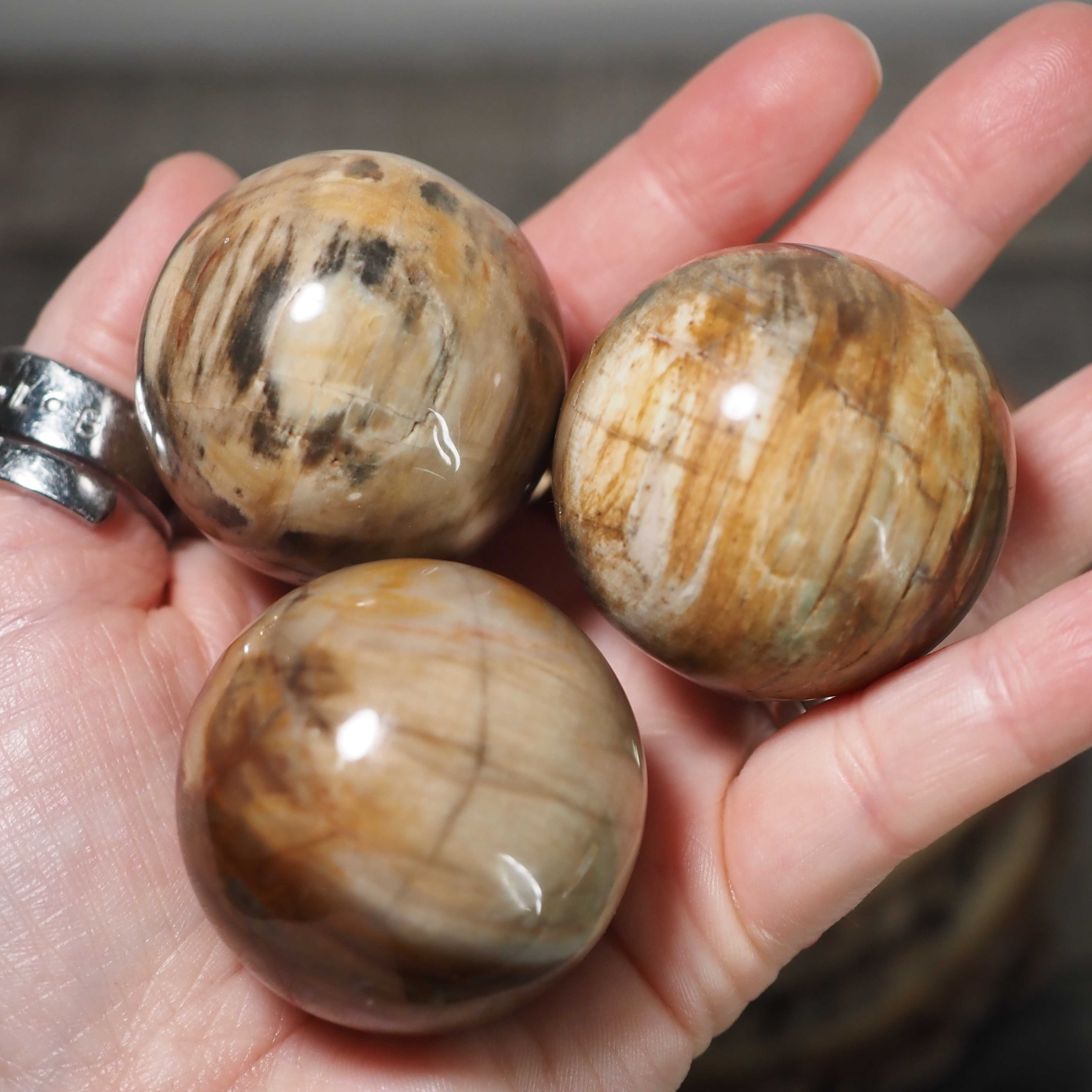 Petrified Wood Spheres from Brazil