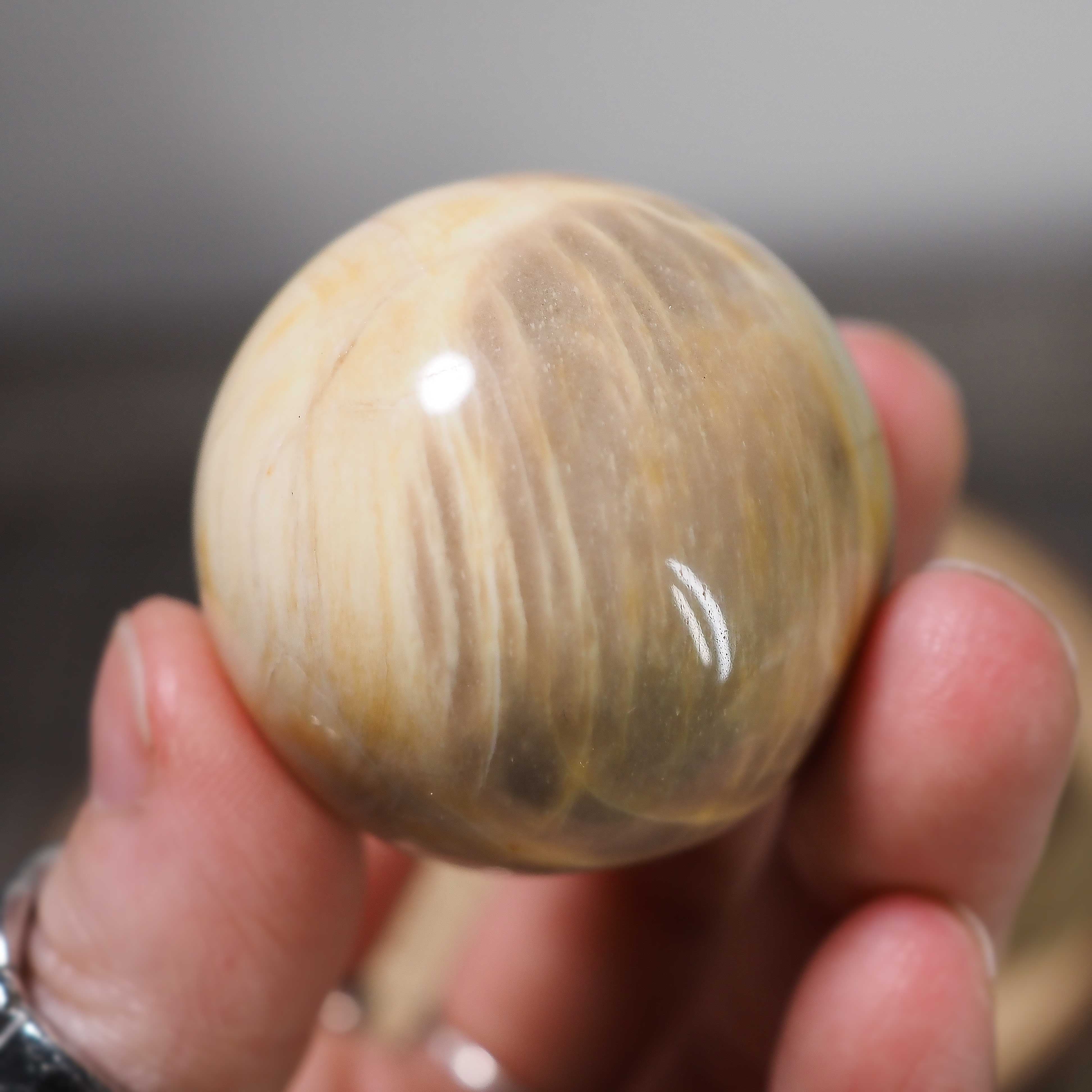 Petrified Wood Spheres from Brazil