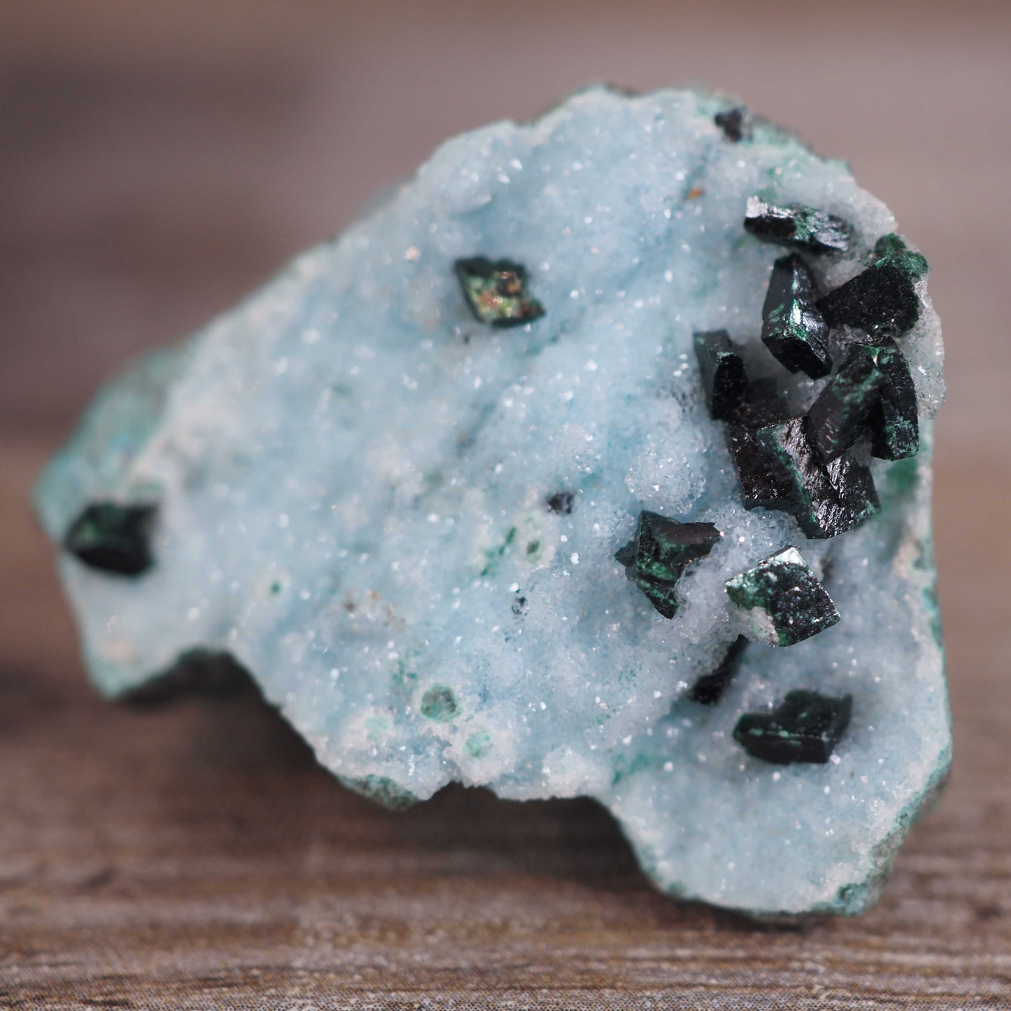 Druzy Chrysocolla Specimen with Malachite Crystals A