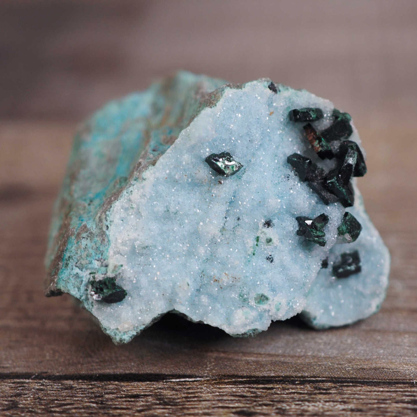 Druzy Chrysocolla Specimen with Malachite Crystals A