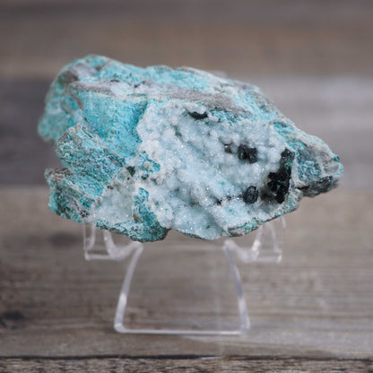 Druzy Chrysocolla Specimen with Malachite Crystals B