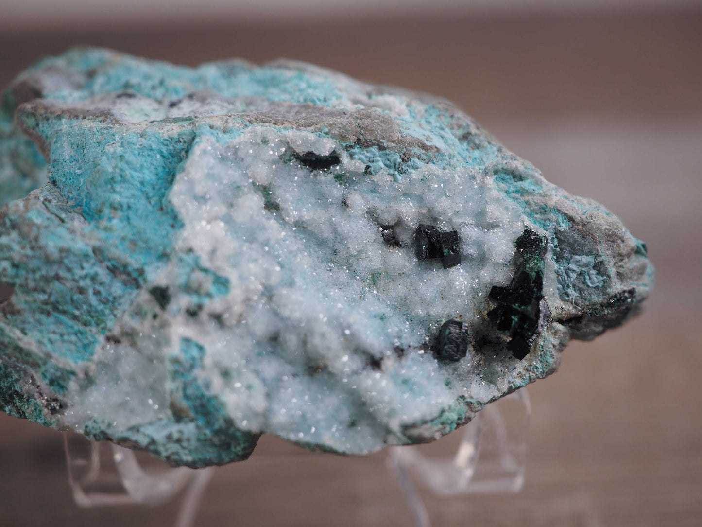 Druzy Chrysocolla Specimen with Malachite Crystals B