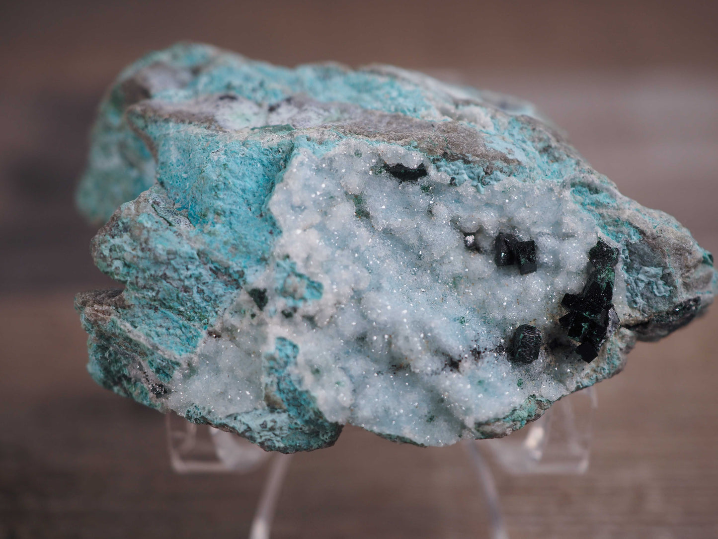 Druzy Chrysocolla Specimen with Malachite Crystals B