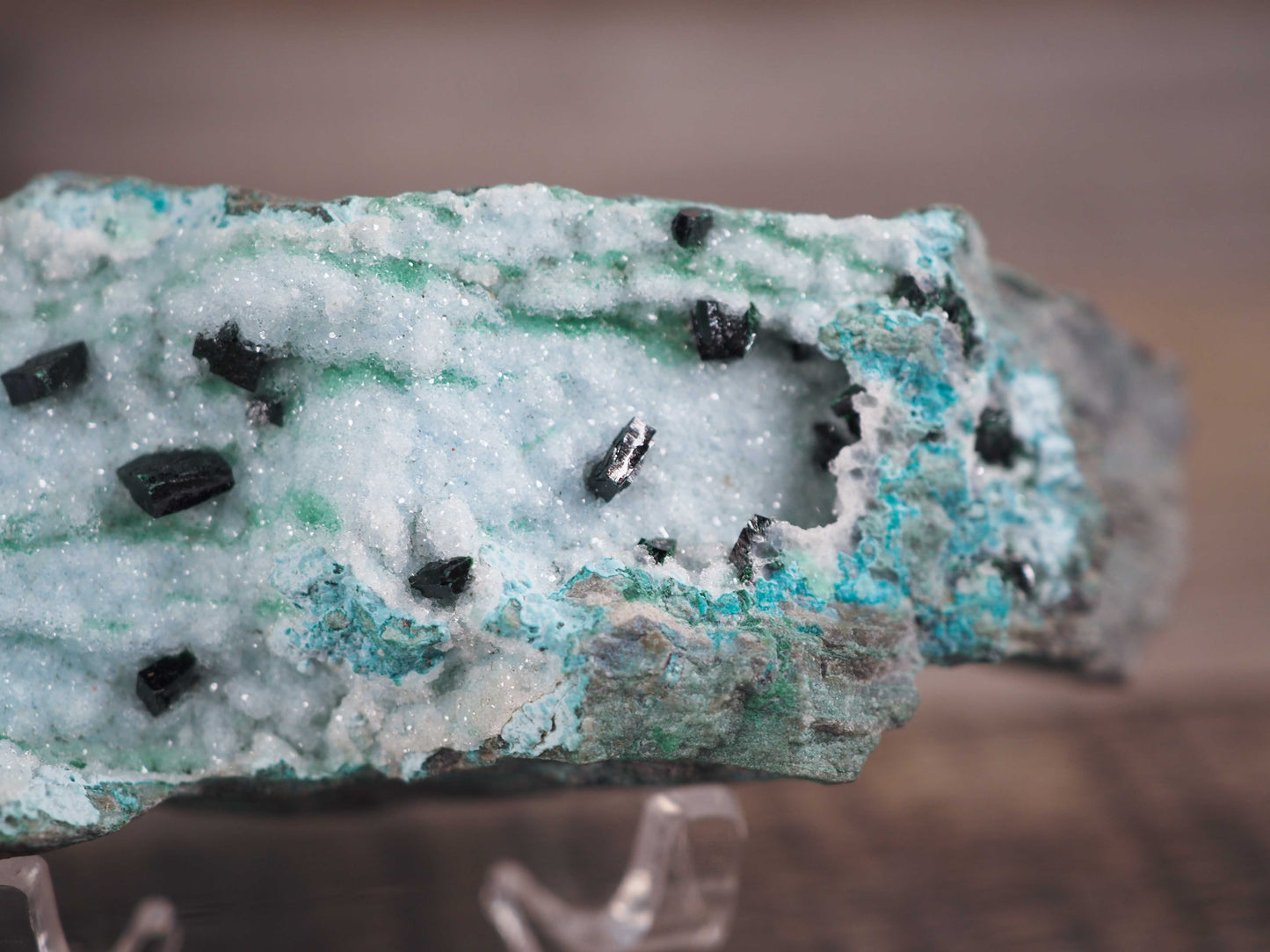 Druzy Chrysocolla Specimen with Malachite Crystals C