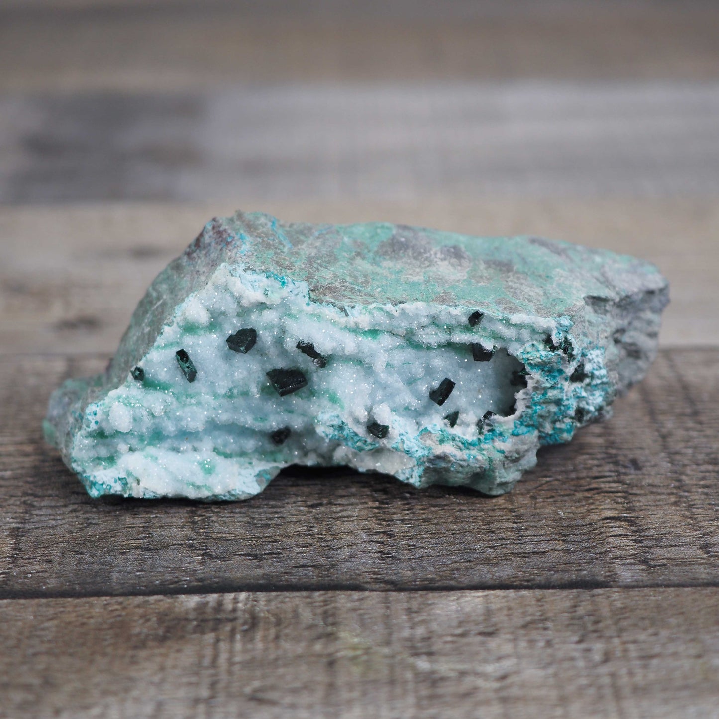 Druzy Chrysocolla Specimen with Malachite Crystals C