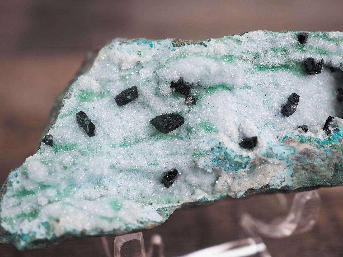 Druzy Chrysocolla Specimen with Malachite Crystals C