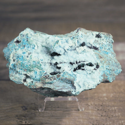 Druzy Chrysocolla Specimen with Malachite Crystals D