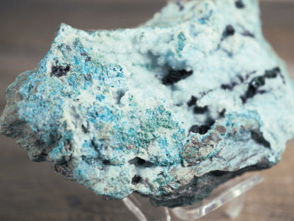 Druzy Chrysocolla Specimen with Malachite Crystals D