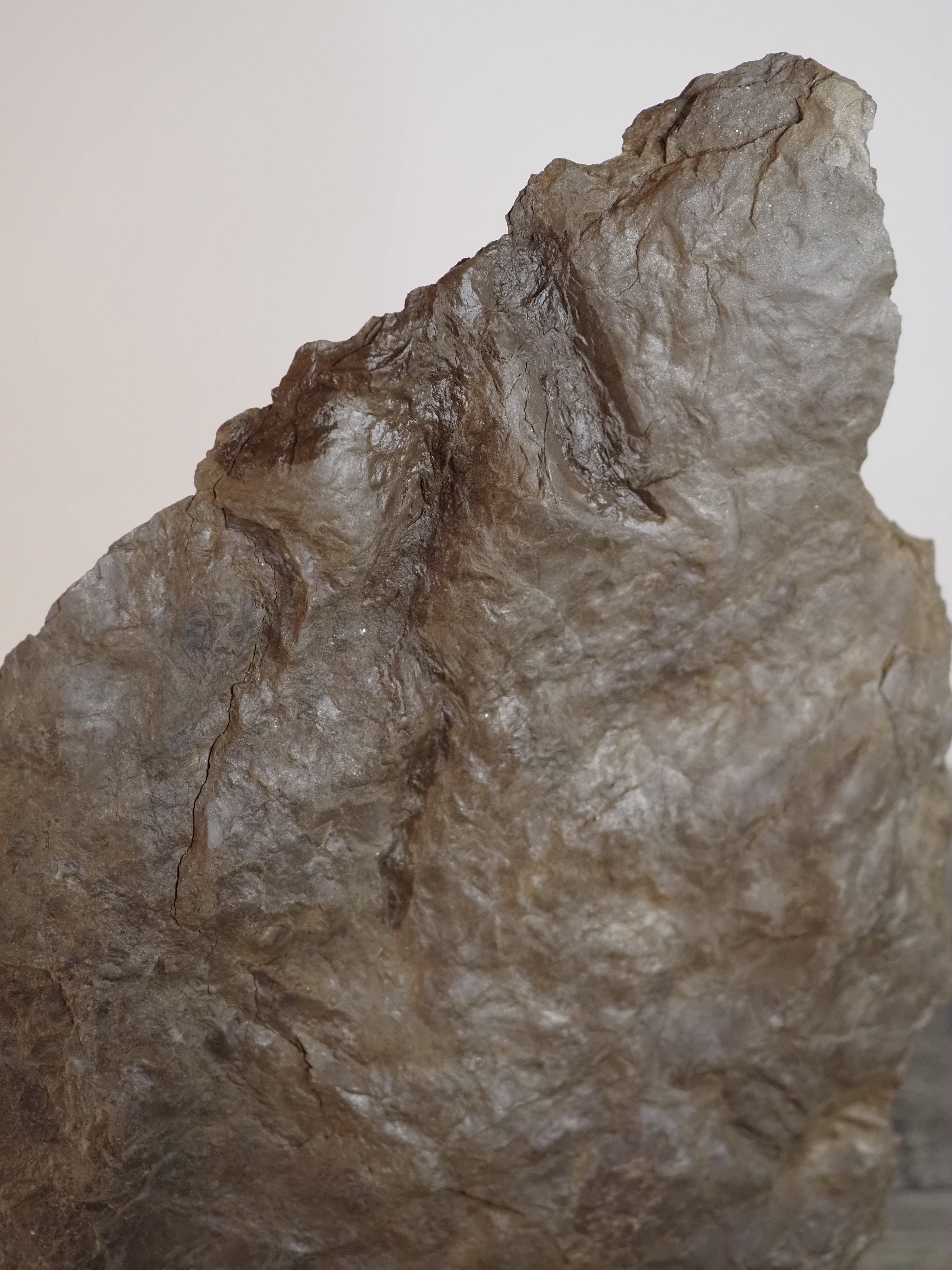 Dinosaur Footprint Track from Connecticut - Grallator B