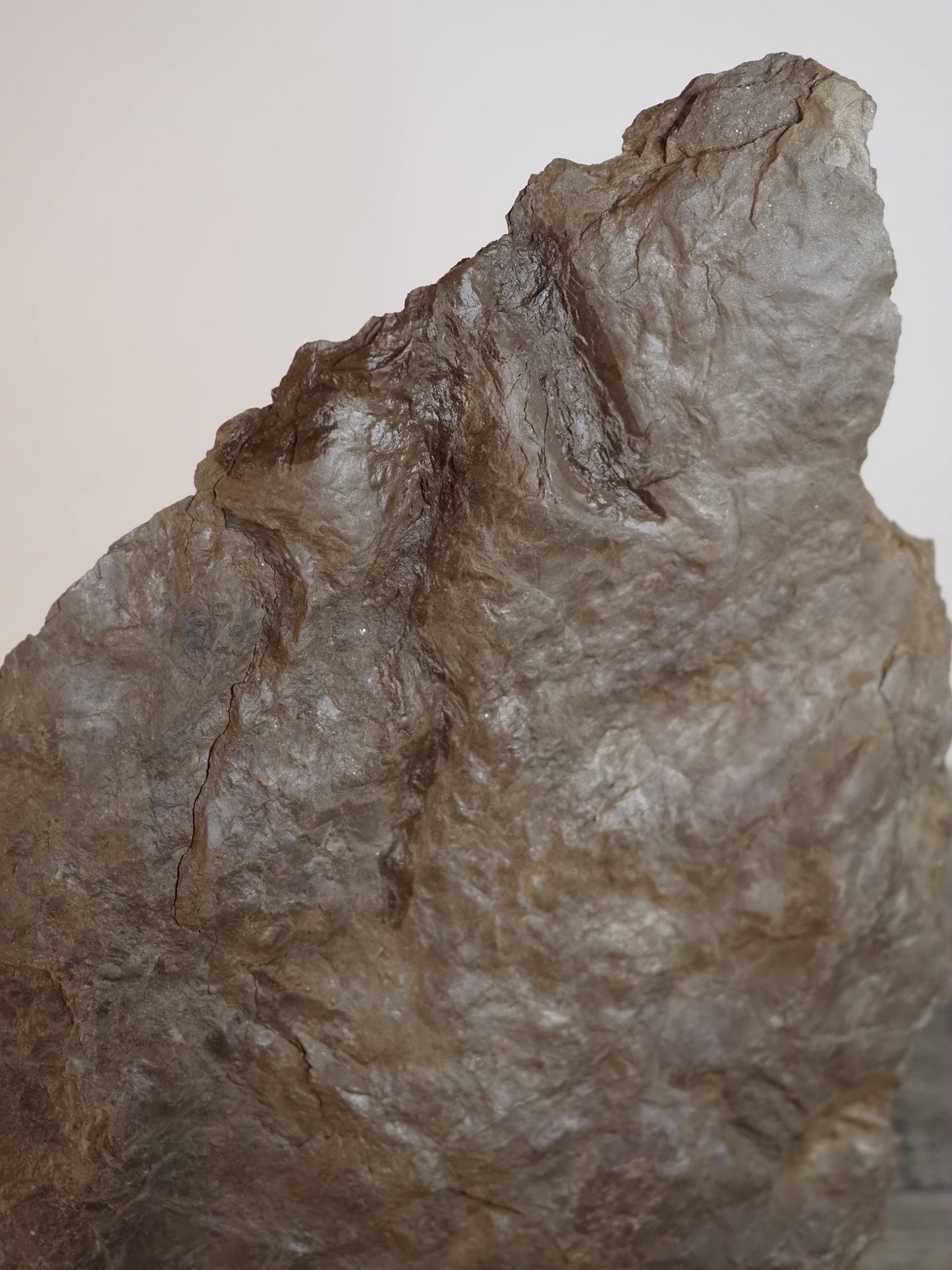 Dinosaur Footprint Track from Connecticut - Grallator B