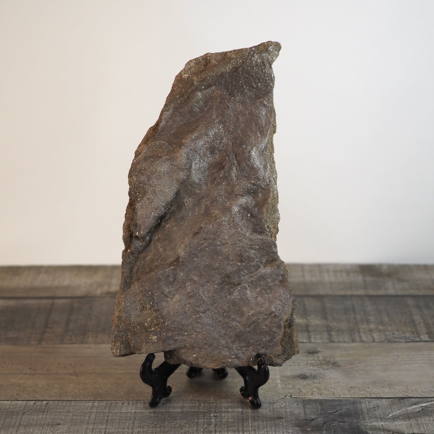 Dinosaur Footprint Track from Connecticut - Grallator C