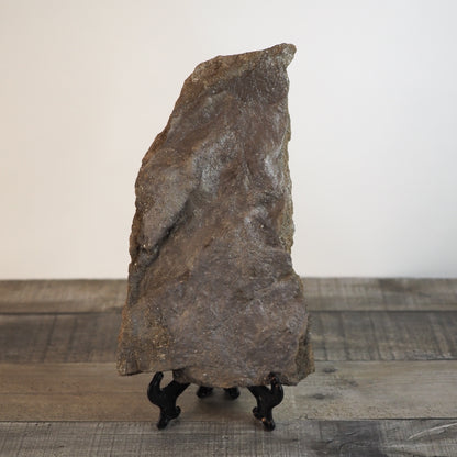 Dinosaur Footprint Track from Connecticut - Grallator C