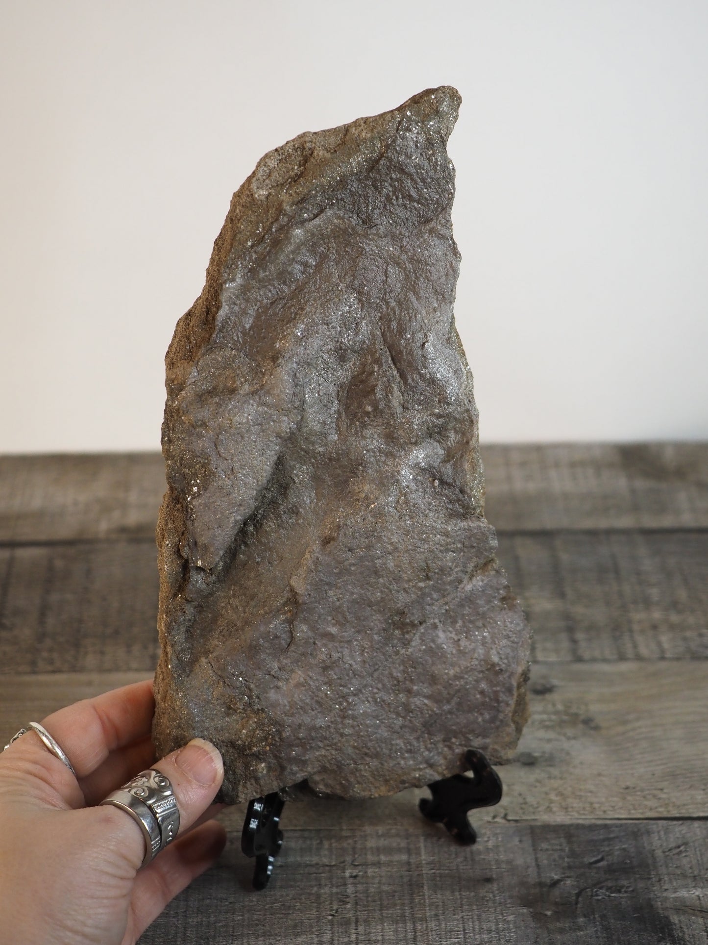 Dinosaur Footprint Track from Connecticut - Grallator C