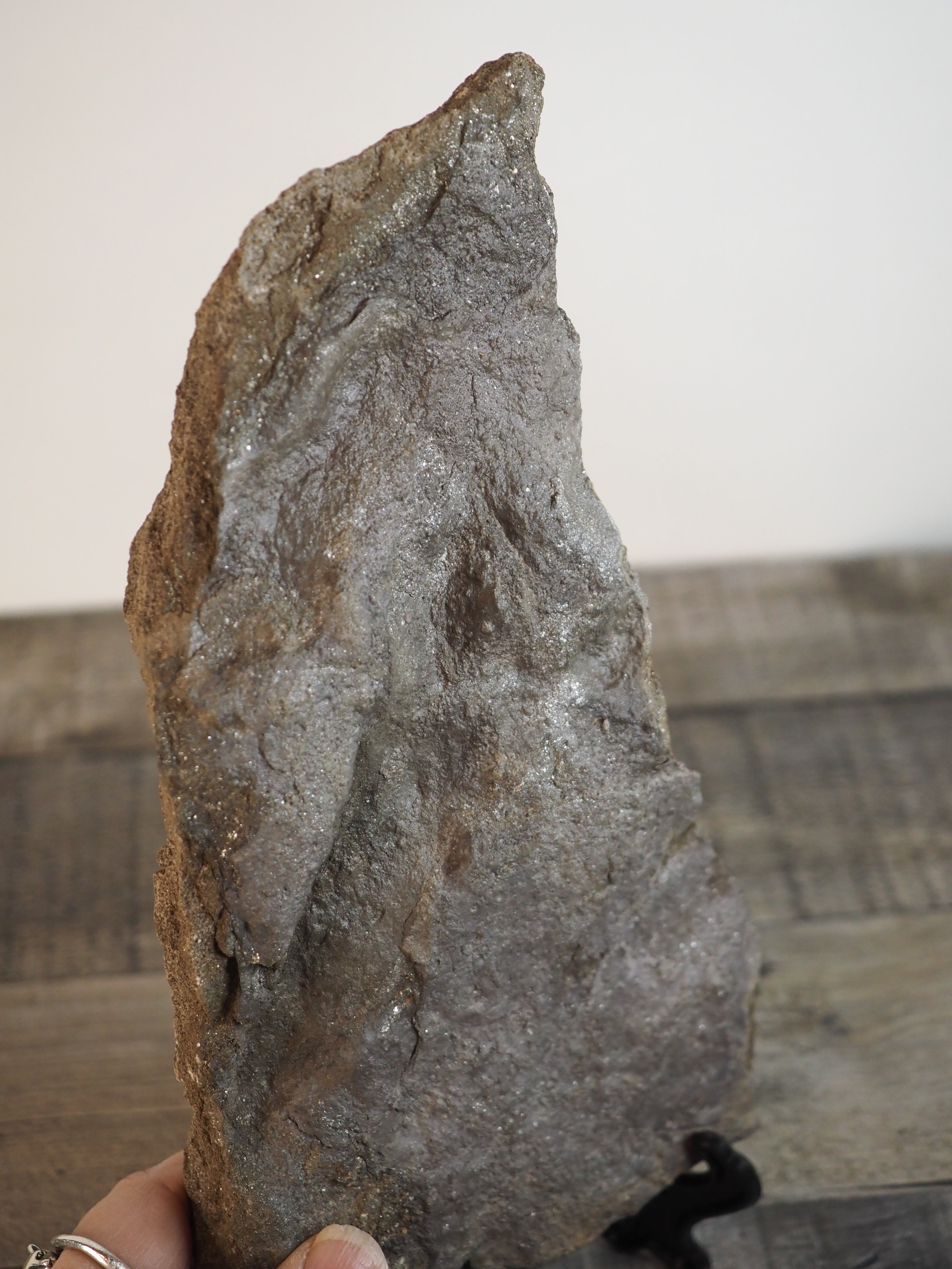 Dinosaur Footprint Track from Connecticut - Grallator C