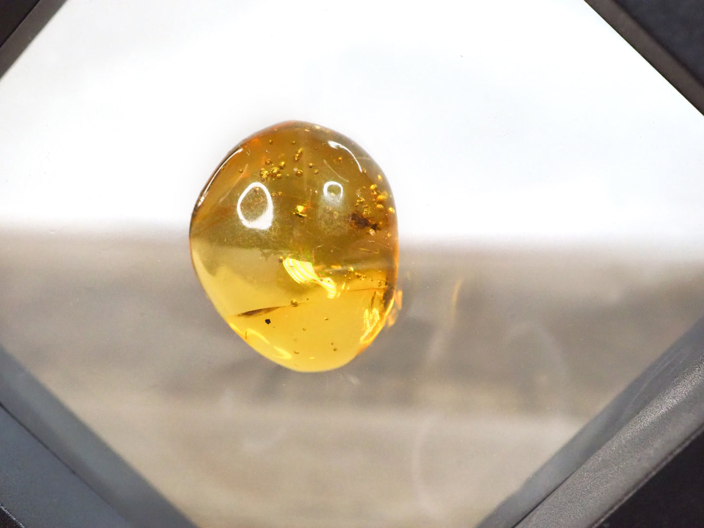 Dominican Republic Amber C with Insect Inclusion