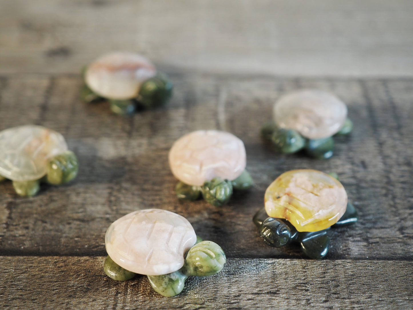 Tree Jasper and Sakura Flower Agate Mini Turtle Carvings