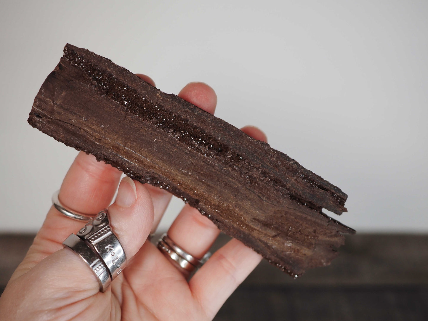 Permineralized Sparkling Fossil Wood from Germany (03)