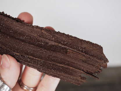Permineralized Sparkling Fossil Wood from Germany (03)
