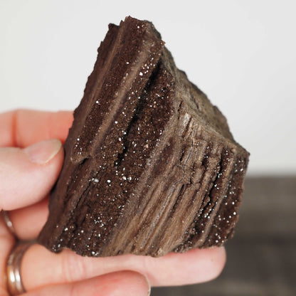 Permineralized Sparkling Fossil Wood from Germany (11)