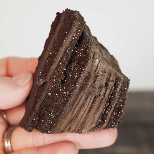 Permineralized Sparkling Fossil Wood from Germany (11)