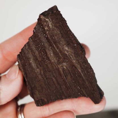Permineralized Sparkling Fossil Wood from Germany (11)