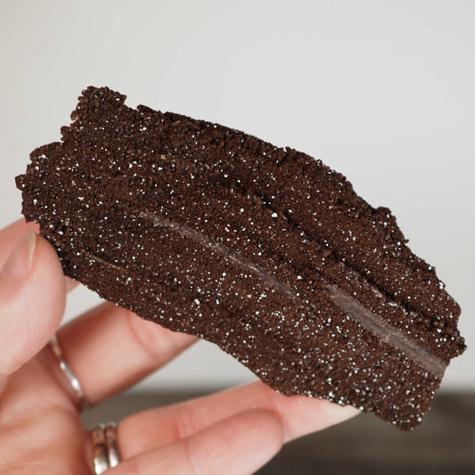 Permineralized Sparkling Fossil Wood from Germany (13)