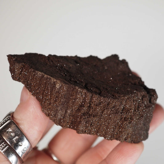 Permineralized Sparkling Fossil Wood from Germany (14)