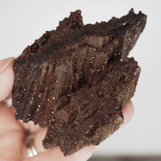 Permineralized Sparkling Fossil Wood from Germany (15)