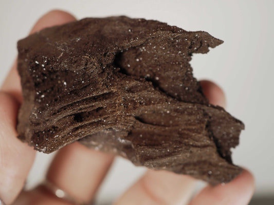 Permineralized Sparkling Fossil Wood from Germany (16)