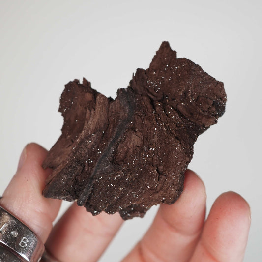 Permineralized Sparkling Fossil Wood from Germany (20)