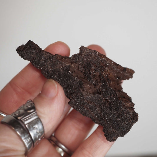 Permineralized Sparkling Fossil Wood from Germany (21)