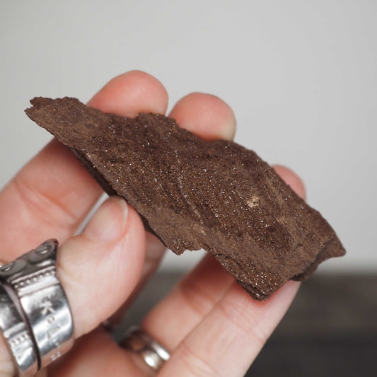 Permineralized Sparkling Fossil Wood from Germany (23)