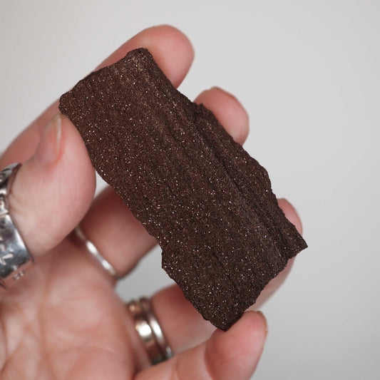 Permineralized Sparkling Fossil Wood from Germany (25)
