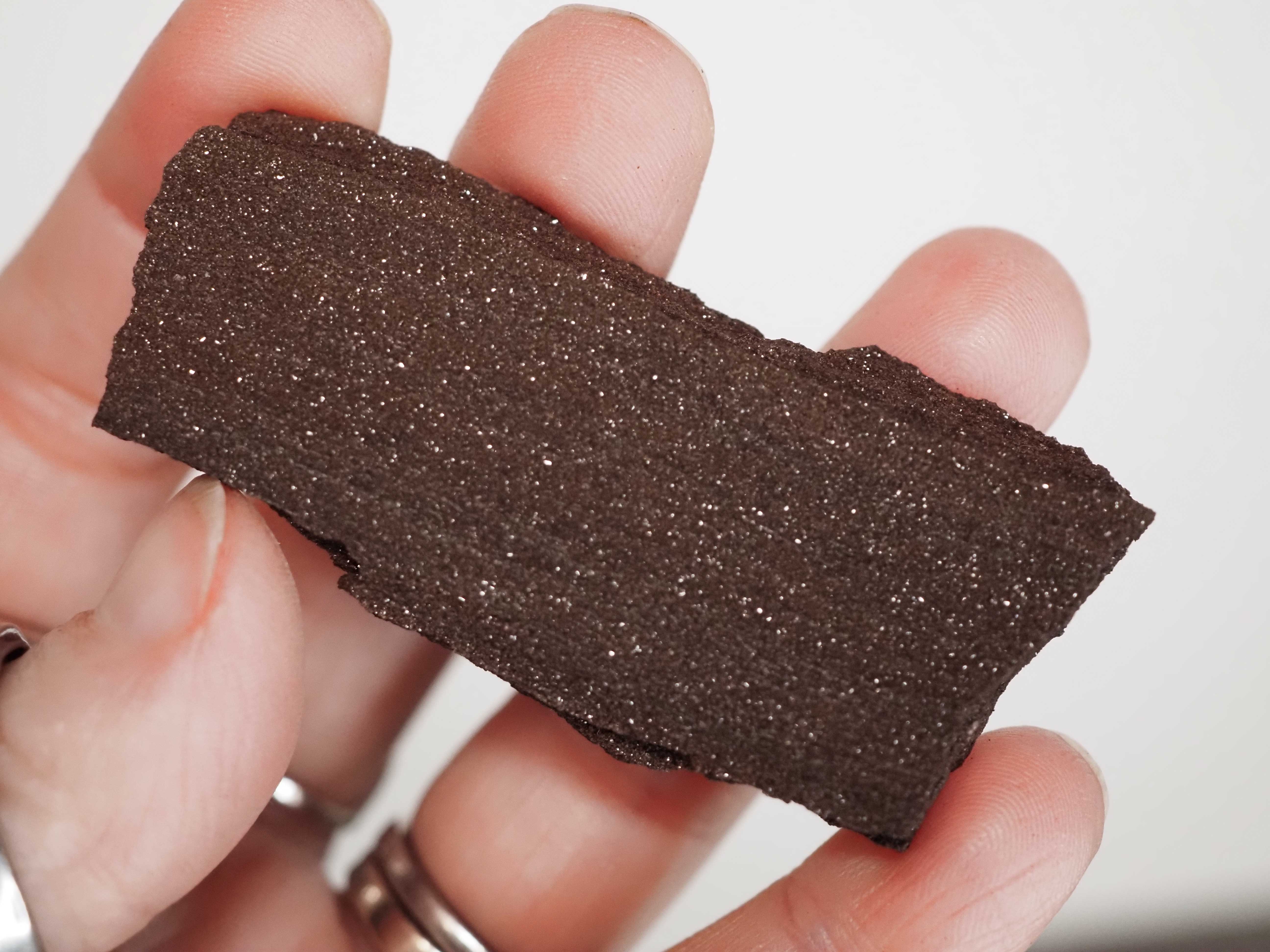 Permineralized Sparkling Fossil Wood from Germany (25)