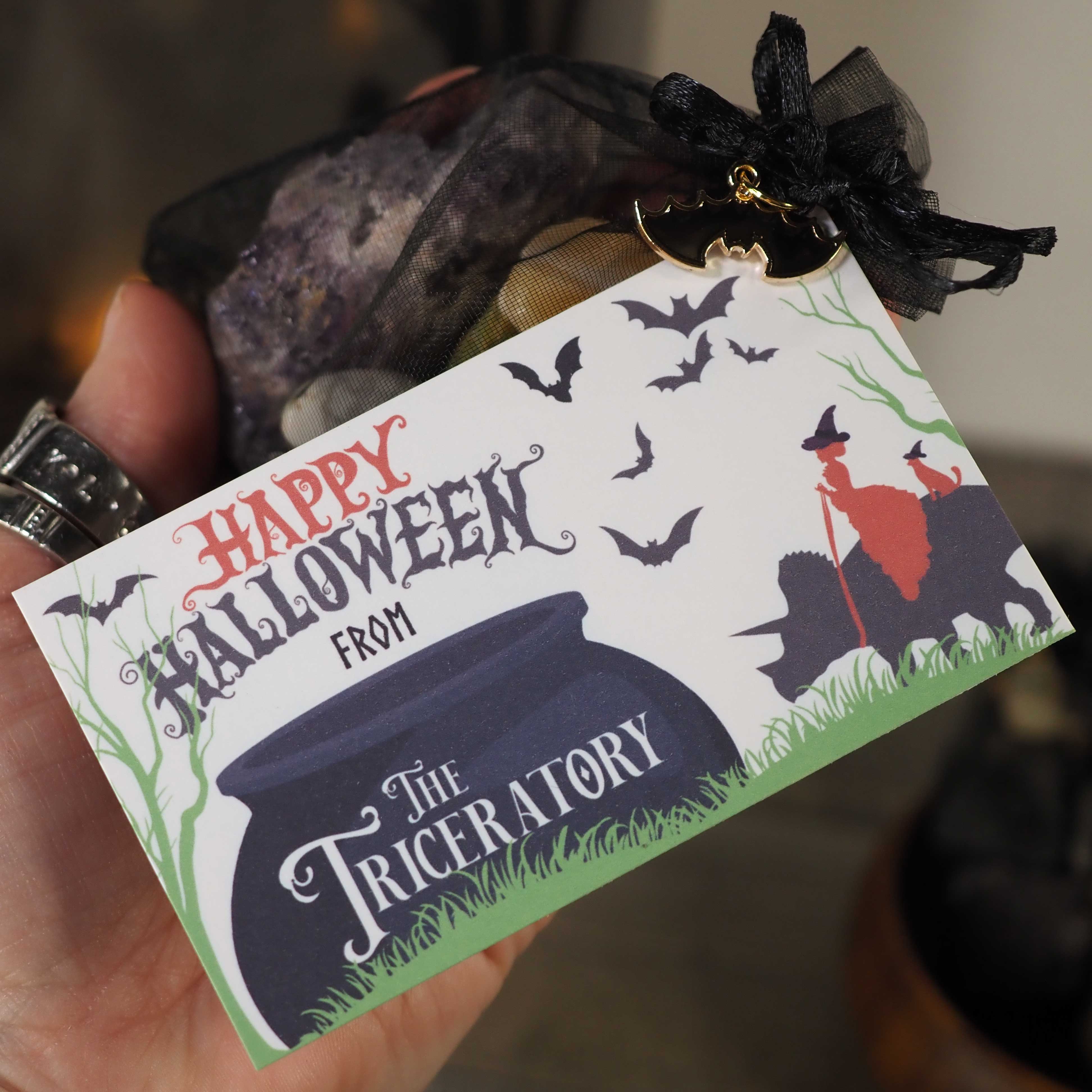 Halloween Magic Sacks
