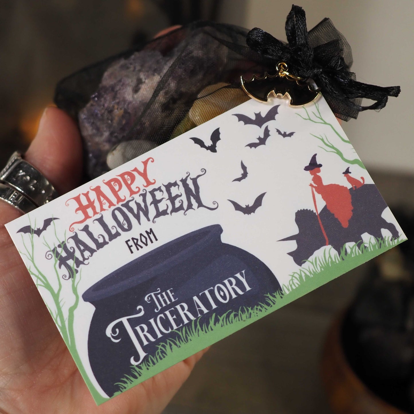 Halloween Magic Sacks