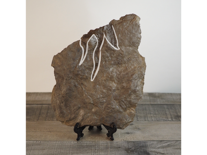 Dinosaur Footprint Track from Connecticut - Grallator B