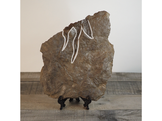 Dinosaur Footprint Track from Connecticut - Grallator B