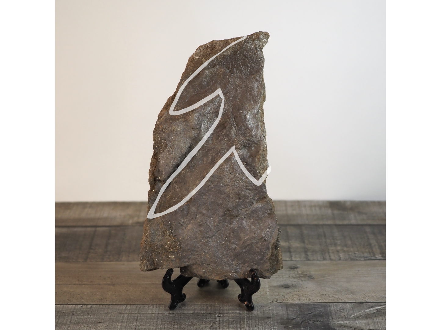 Dinosaur Footprint Track from Connecticut - Grallator C