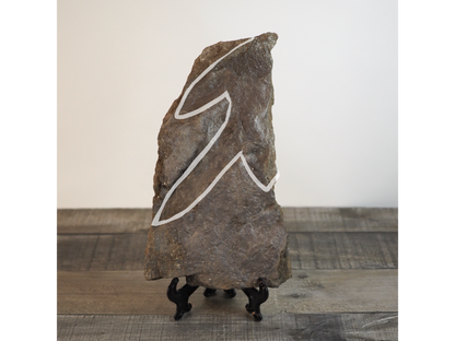 Dinosaur Footprint Track from Connecticut - Grallator C