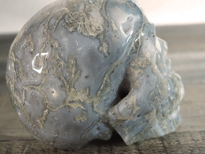 Extra-Detailed Moss Agate Druzy Skull