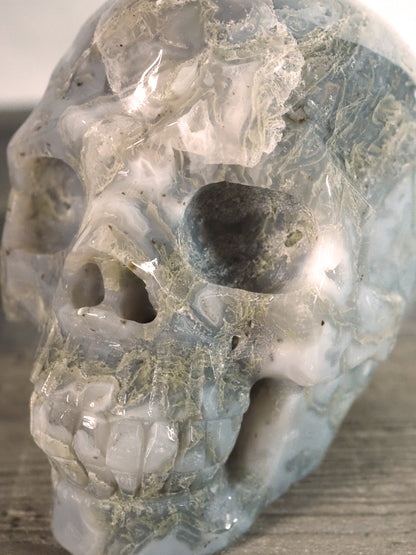 Extra-Detailed Moss Agate Druzy Skull