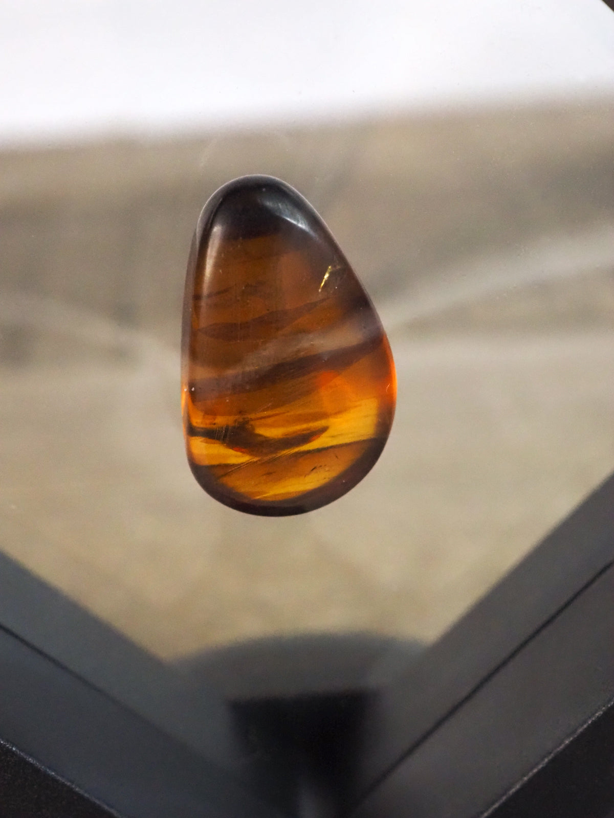 Myanmar Amber C with Insect Inclusion