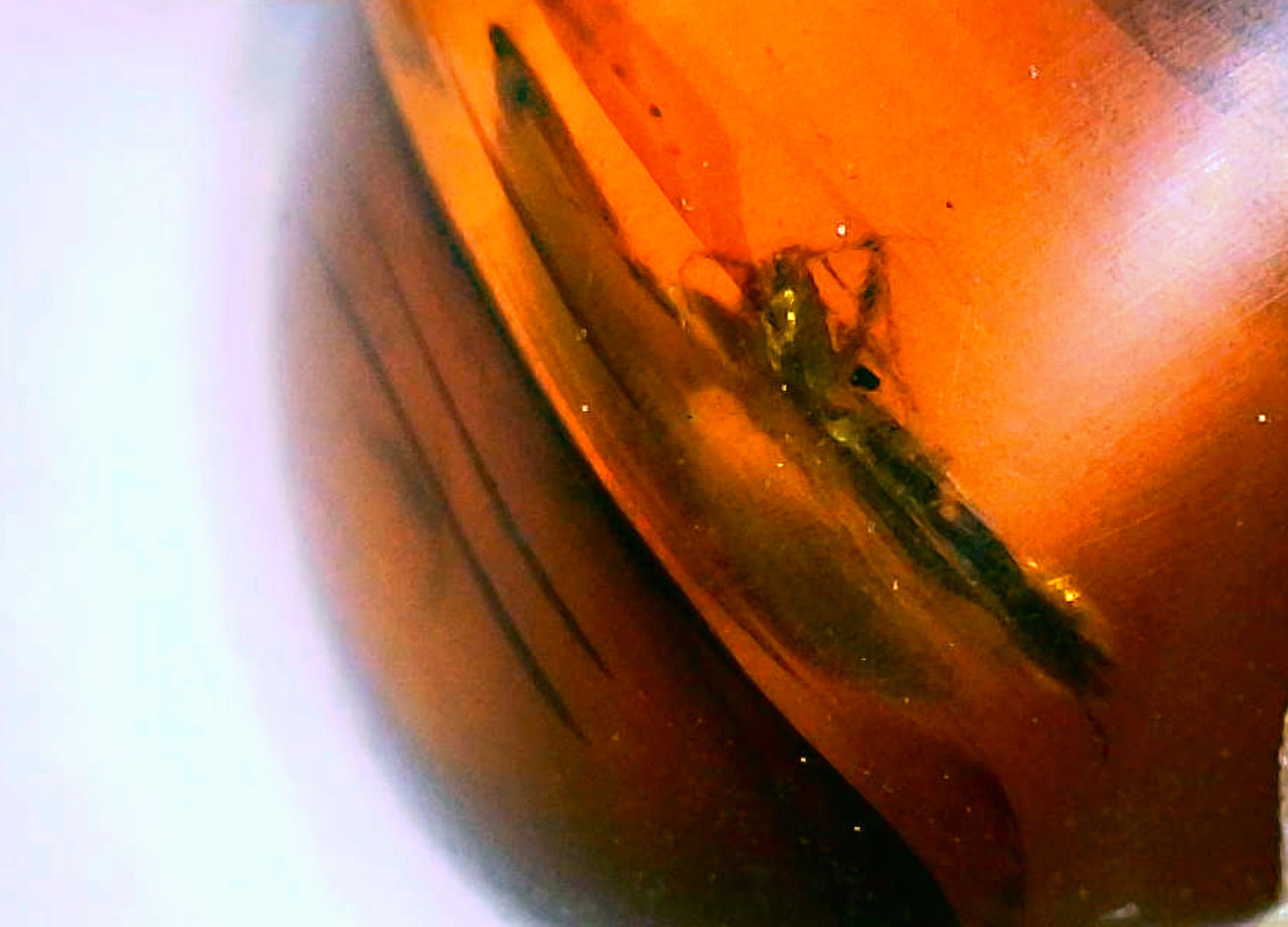 Myanmar Amber C with Insect Inclusion