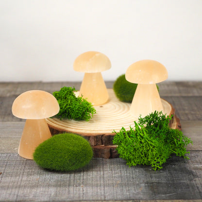 Peach Satin Spar Selenite Small Mushroom Carvings