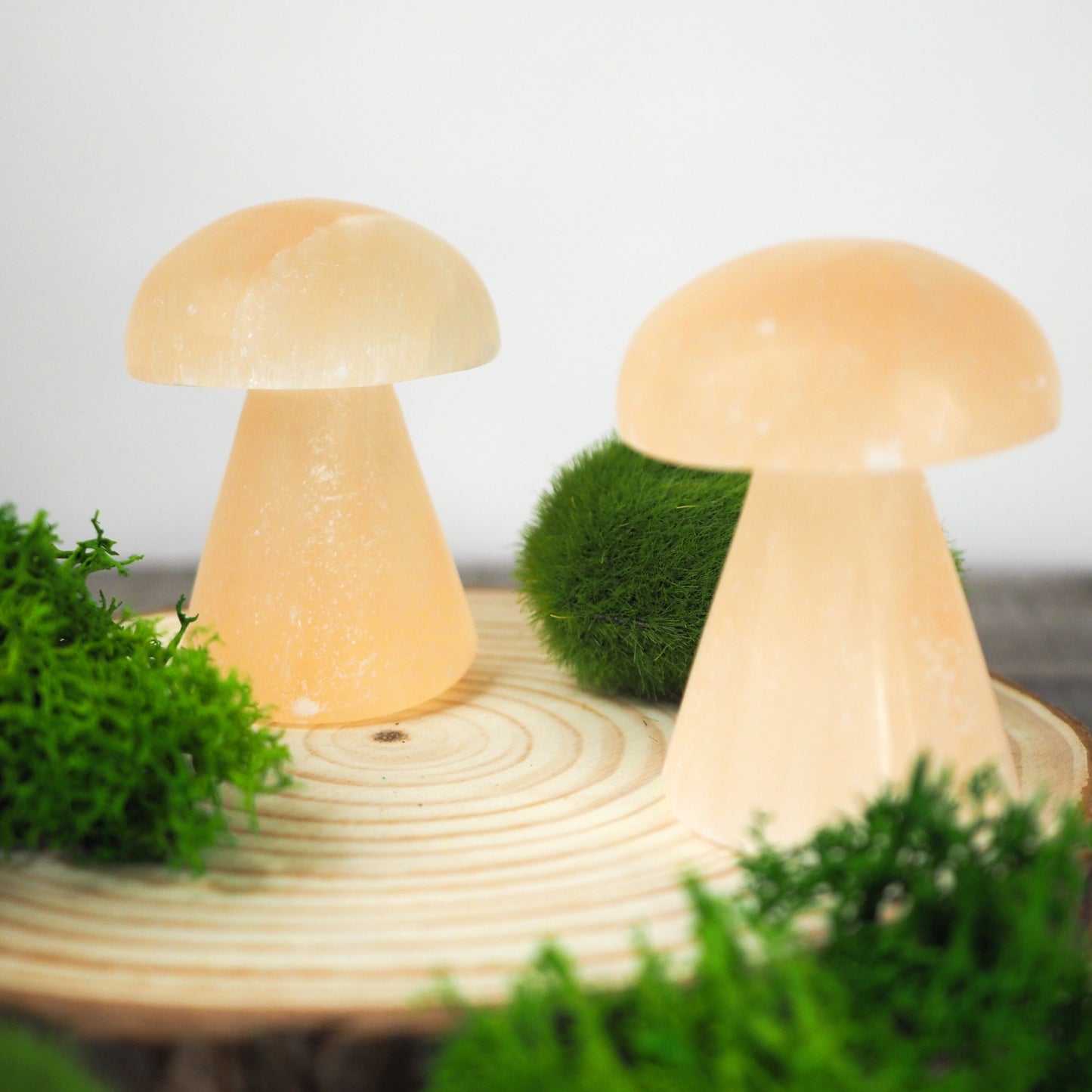 Peach Satin Spar Selenite Small Mushroom Carvings
