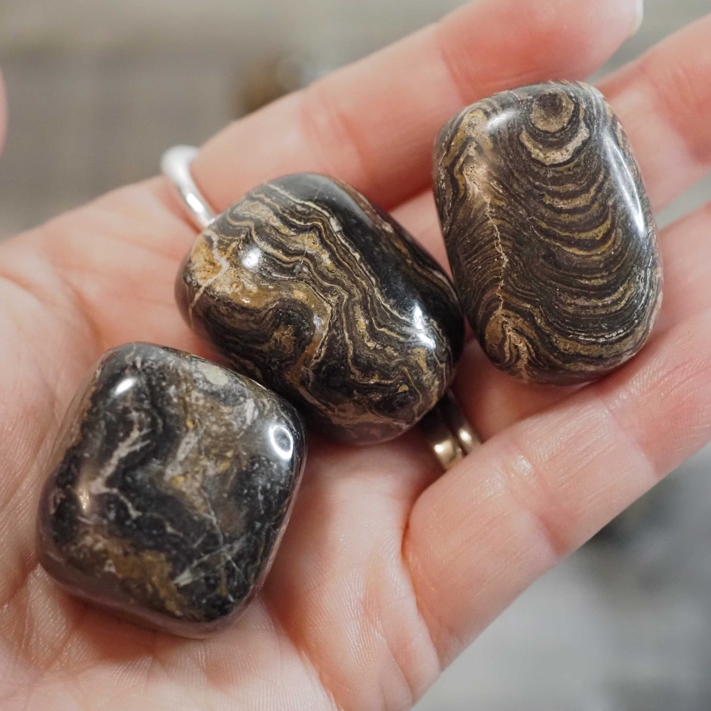 Peruvian Stromatolite Tumbles