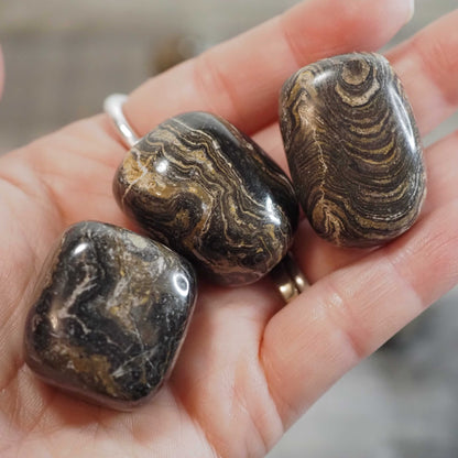 Peruvian Stromatolite Tumbles