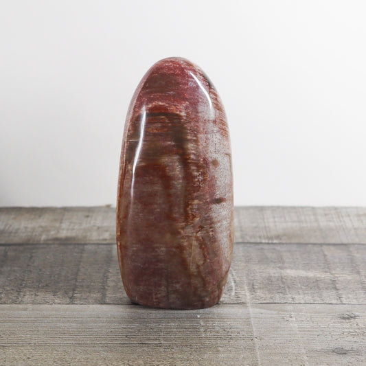 Petrified Wood Freeform from Madagascar A01